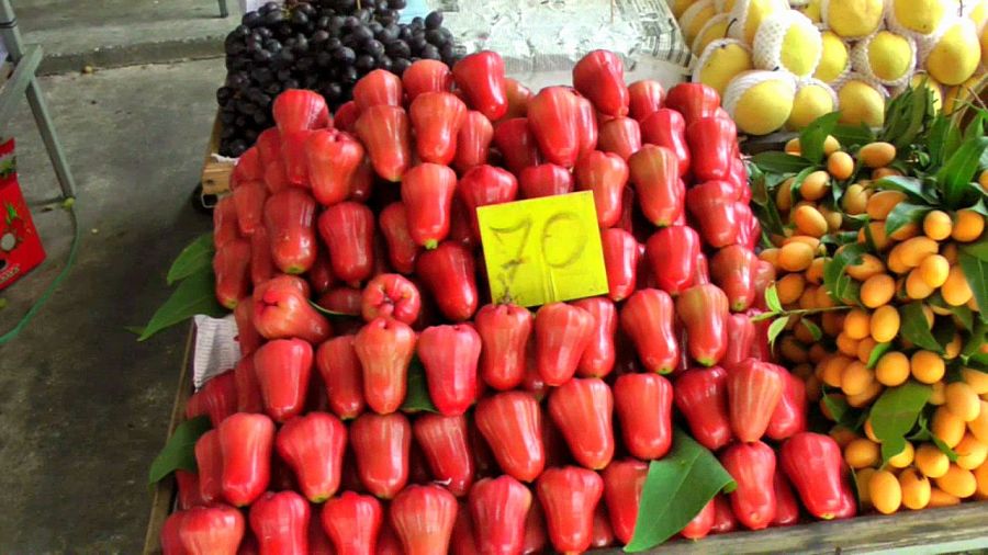 Frutas Tropicales de Tailandia - Manzana de Agua