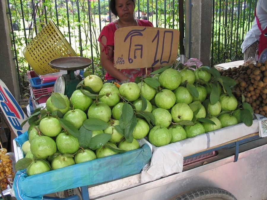 Frutas típicas de Tailandia - Guayaba - Farang