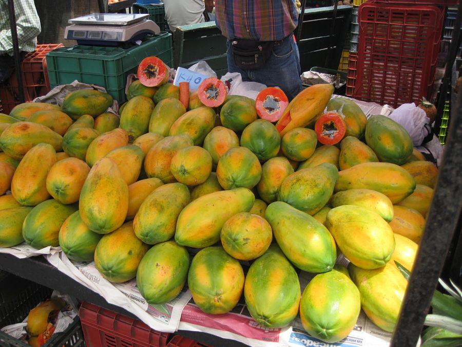 Frutas típicas de Tailandia - Papaya