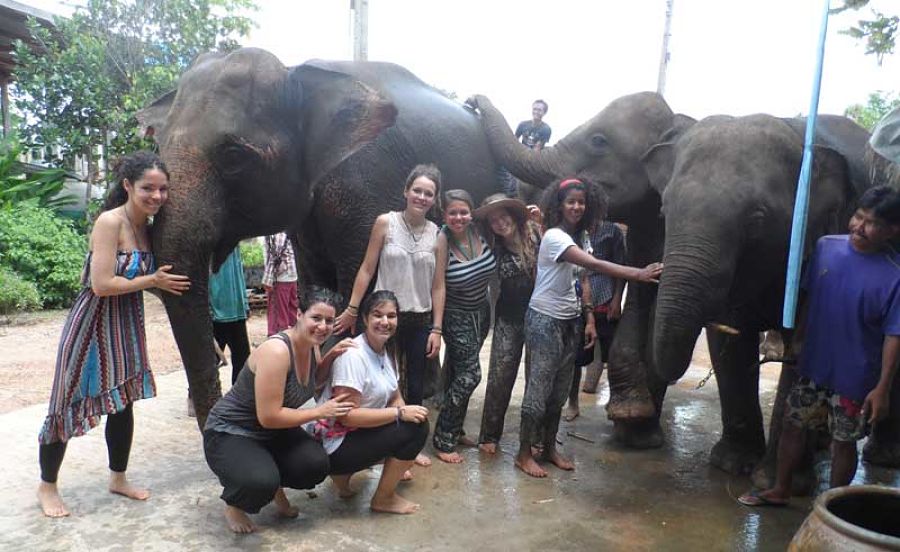 Voluntariado en Tailandia - Elefantes
